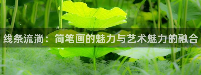 咚漫下载app